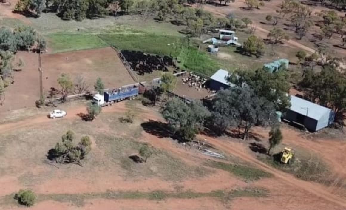 Western NSW rural market activity continues to increase: HTW rural