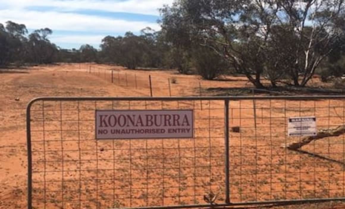 Western NSW rural market activity continues to increase: HTW rural