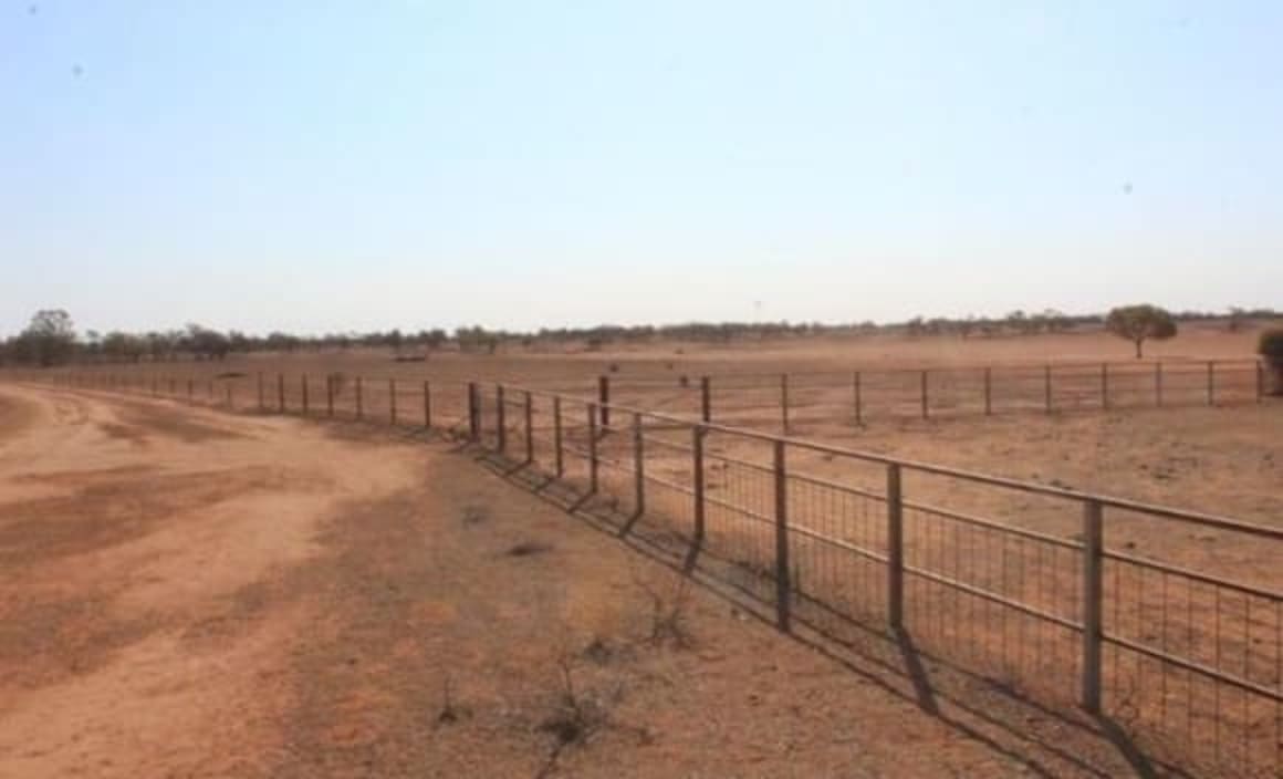 Western NSW rural market activity continues to increase: HTW rural