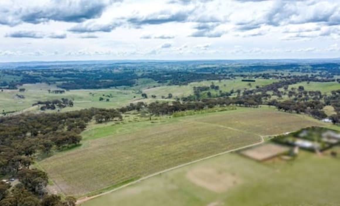 Central and Western NSW rural market maintains reasonable levels of interest: HTW