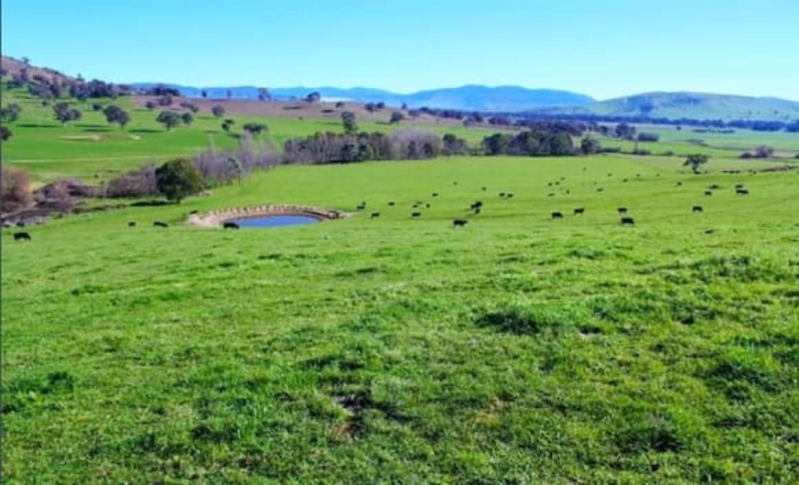 Chinese owned beef farm Mount Falcon Station listed