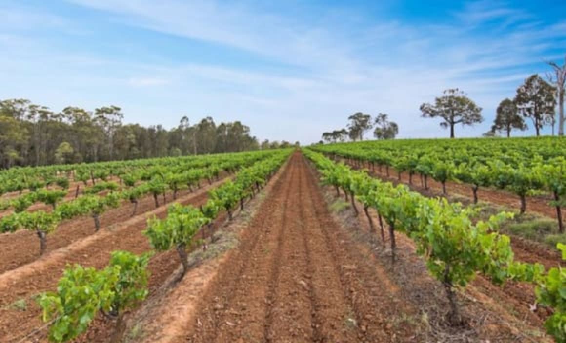 Duck Hollow vineyard in Hunter Valley sells