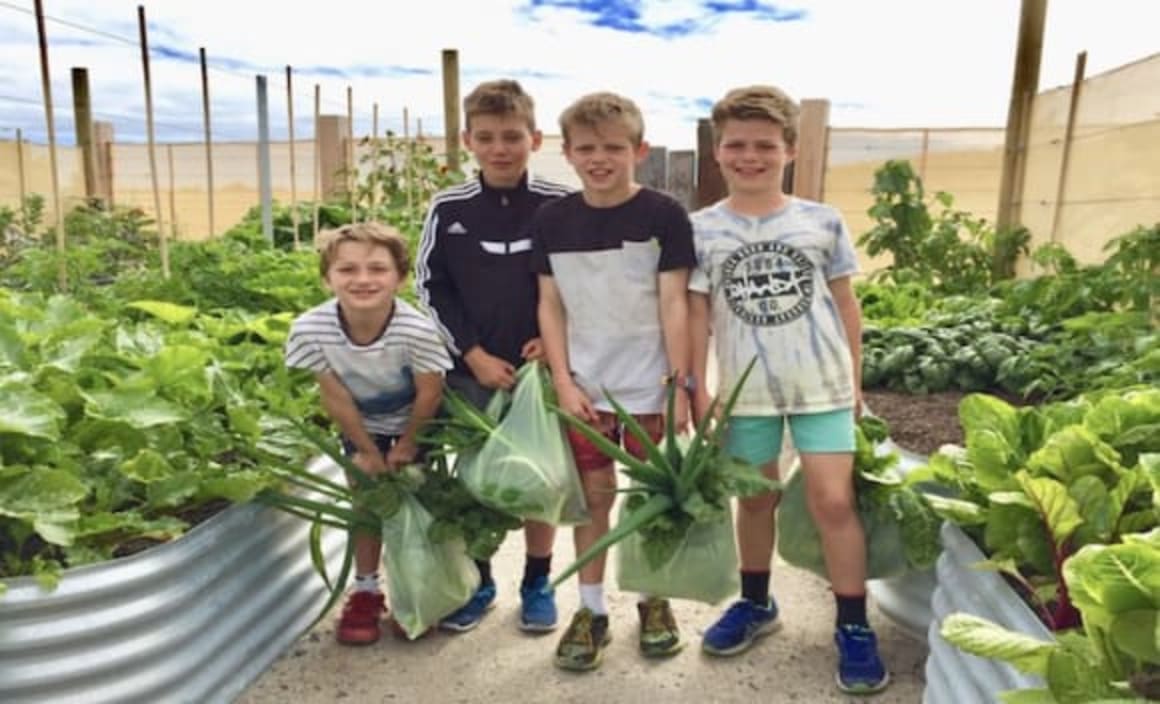 Building sustainable housing estates, RMIT University study reveals