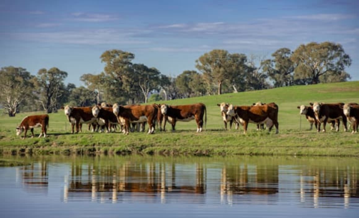 Grand Southern Highlands estate listed by the Williams family