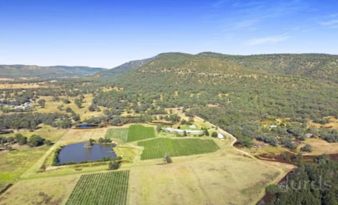 British baron Robin Tedder lists Hunter Valley vineyard estate, Glenguin