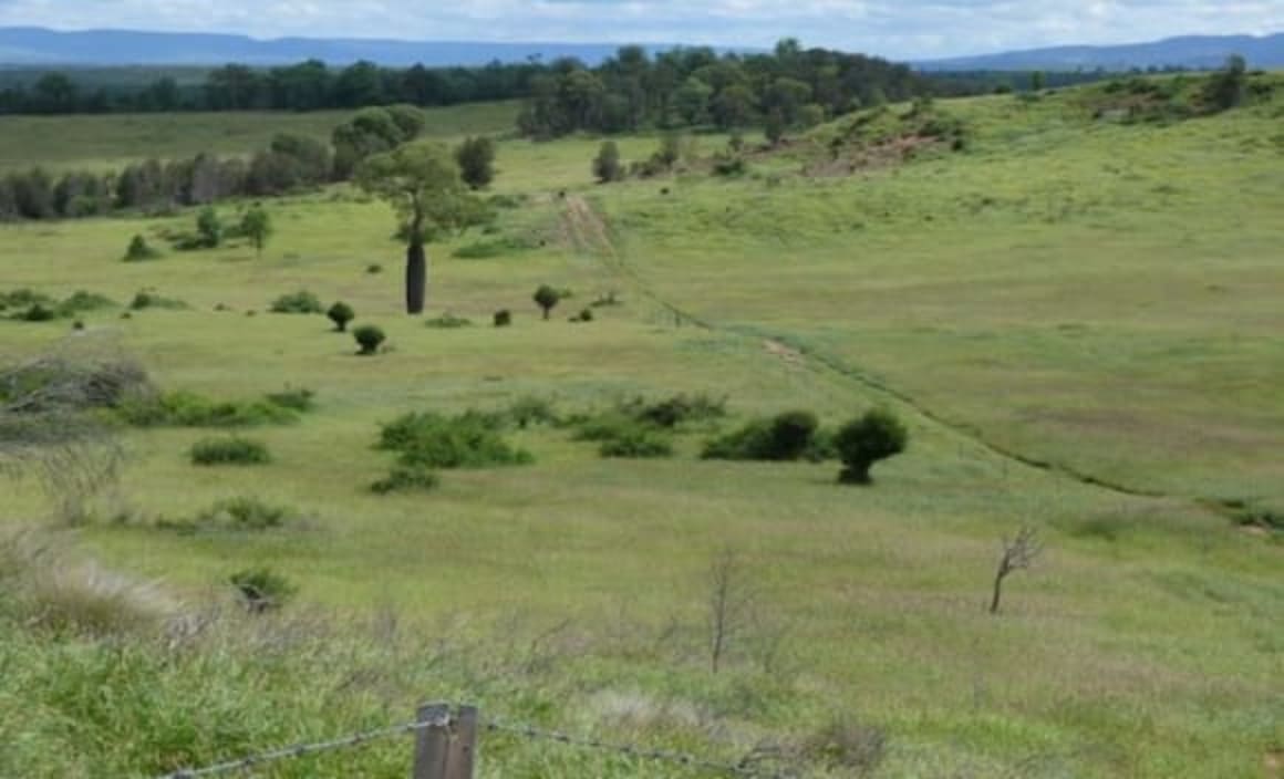 Darling Downs rural market approaching the tipping point: HTW rural 