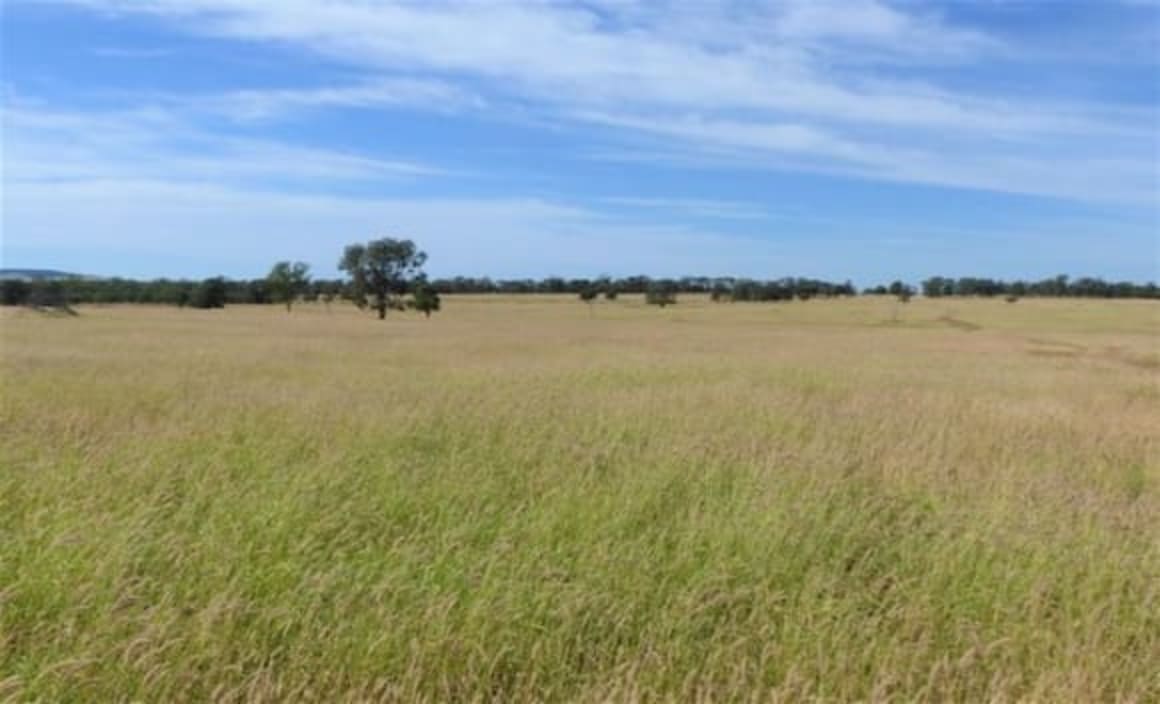 Darling Downs rural market approaching the tipping point: HTW rural 