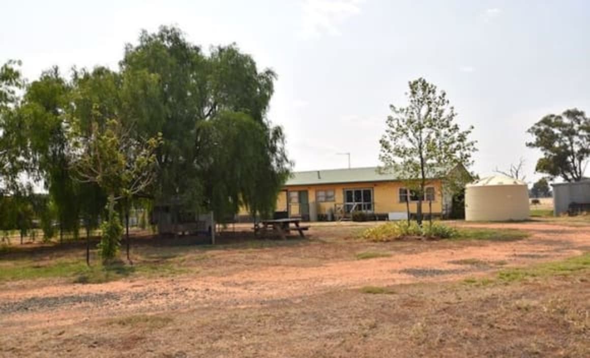 Echuca and Deniliquin rural markets remains steady: HTW rural