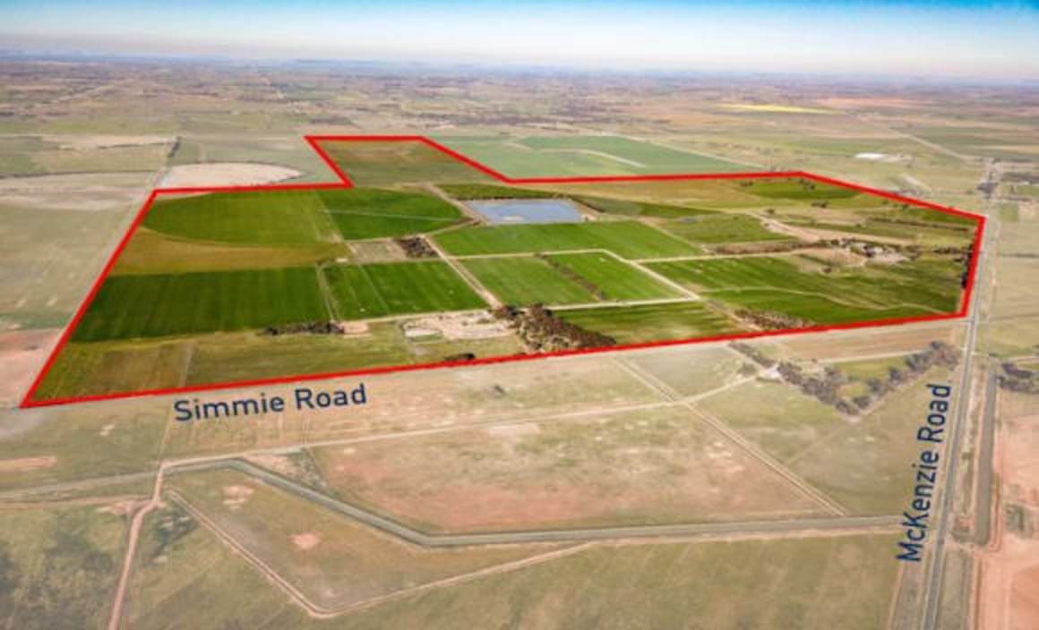 Echuca and Deniliquin rural markets remains steady: HTW rural