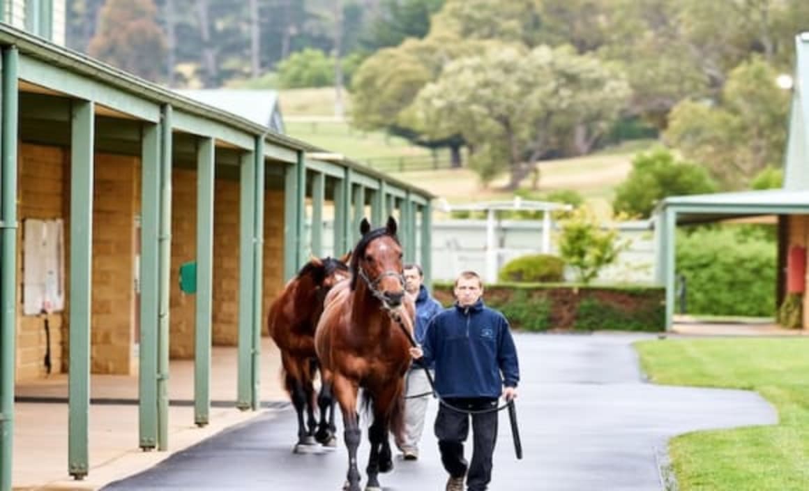 Horse trainer Lloyd Williams relists Macedon Lodge
