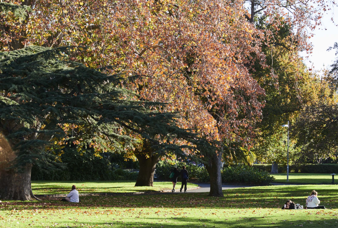 Six reasons why buying in Melbourne's Deepdene could be a smart move