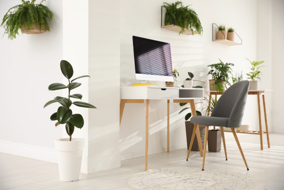 Investor tips for creating the ideal study zone in your inner-city apartment