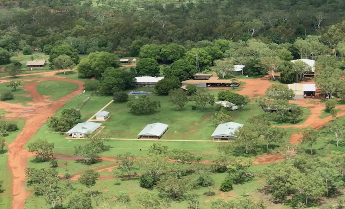 Wollogorang and Wentworth, NT cattle stations for sale 