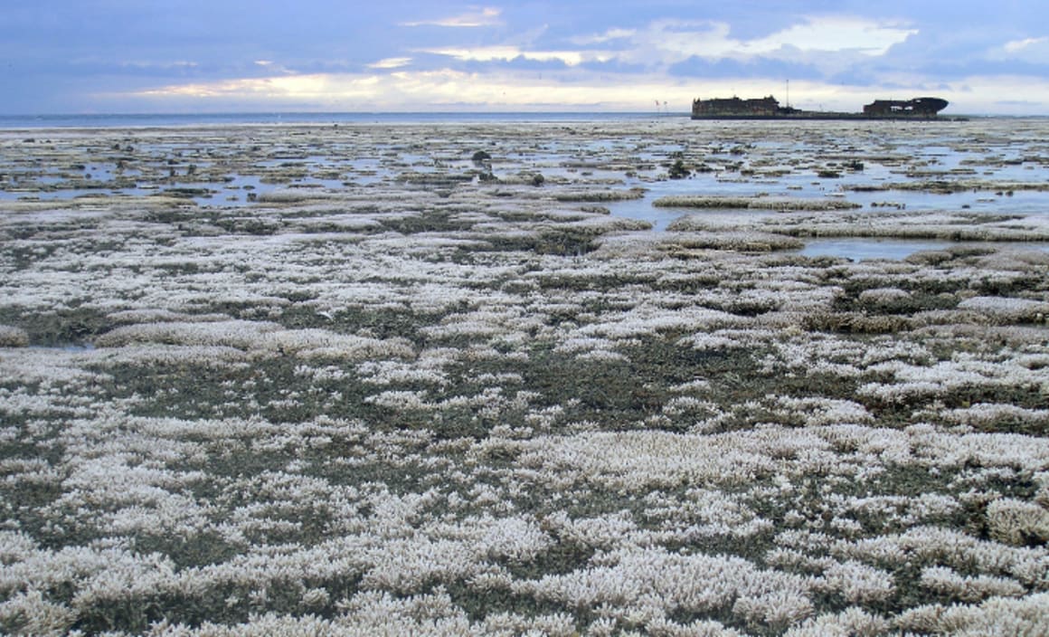 Geoengineering the Great Barrier Reef needs strong rules