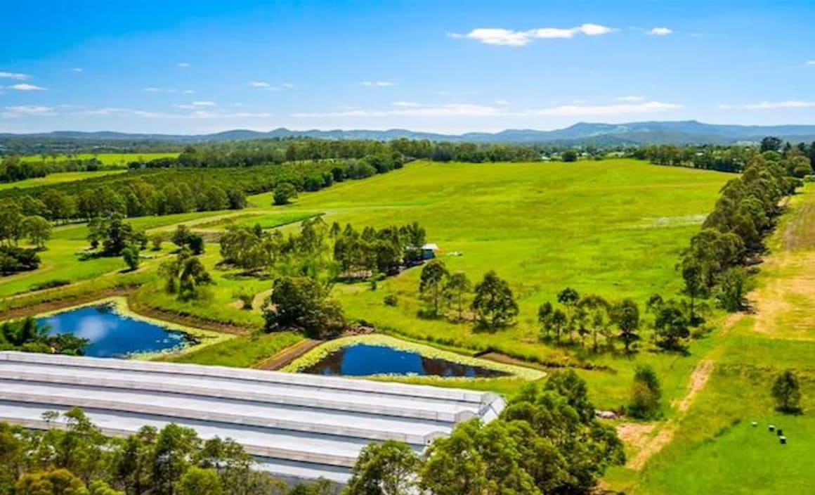 Queensland rural sales volume falls by 8%: Harcourts