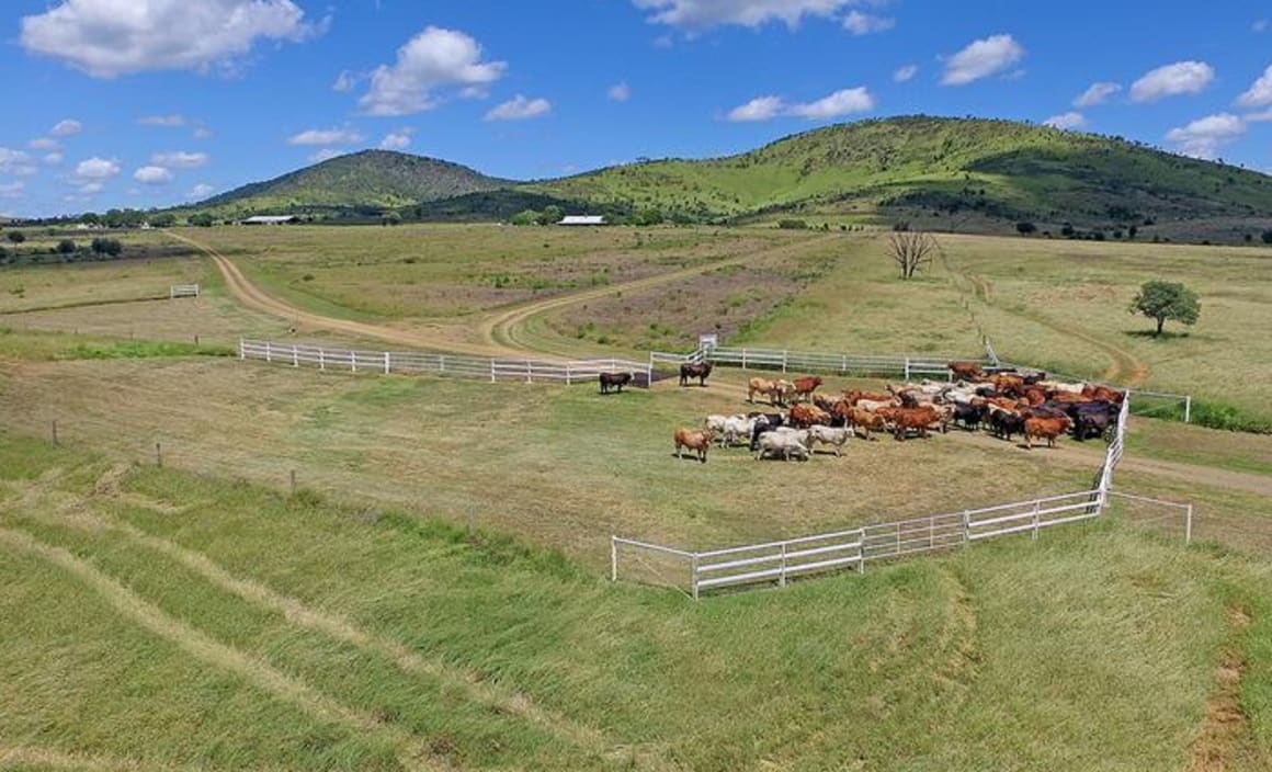 Rural Fund Management buy Rockhampton farm Comanche