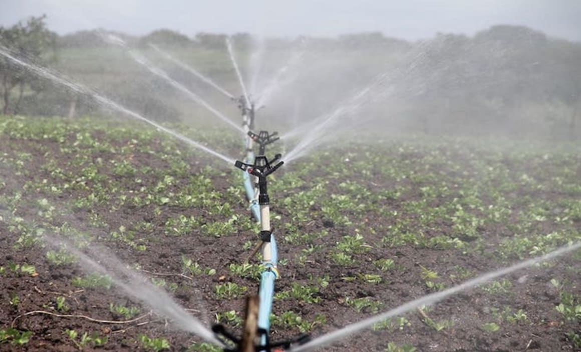 Kimberley's irrigation land market picks up in 2020: HTW rural