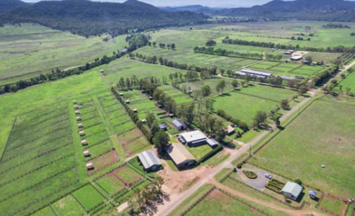 Sandy Hollow, former centrepiece of Nathan Tinkler's Hunter Valley horse breeding empire sold