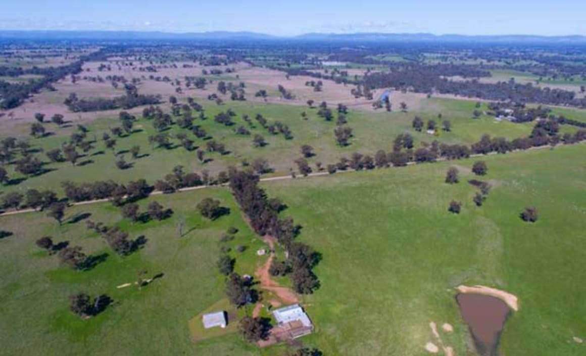 Benalla district estate East Mt Ada listed