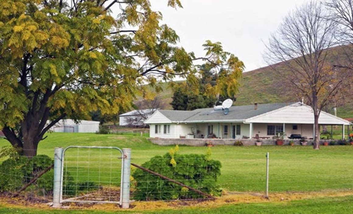 Borabinga, the Borambola Riverina jewel, sold after online auction