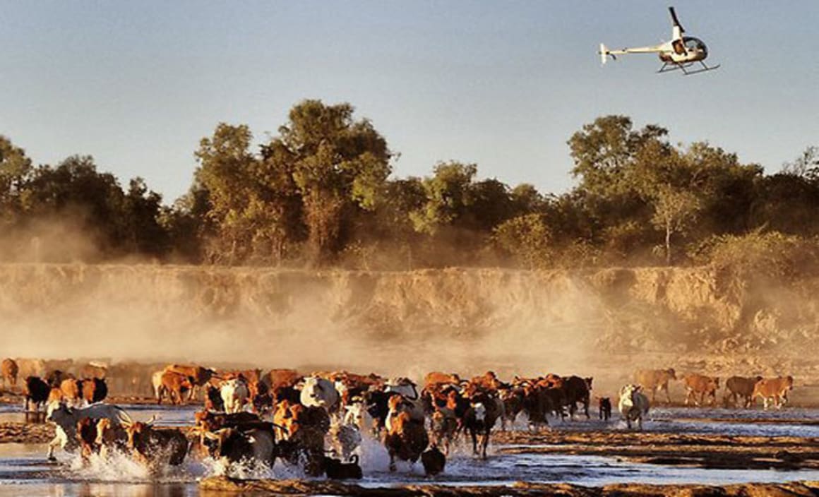 Macquarie's Paraway buys two cattle stations