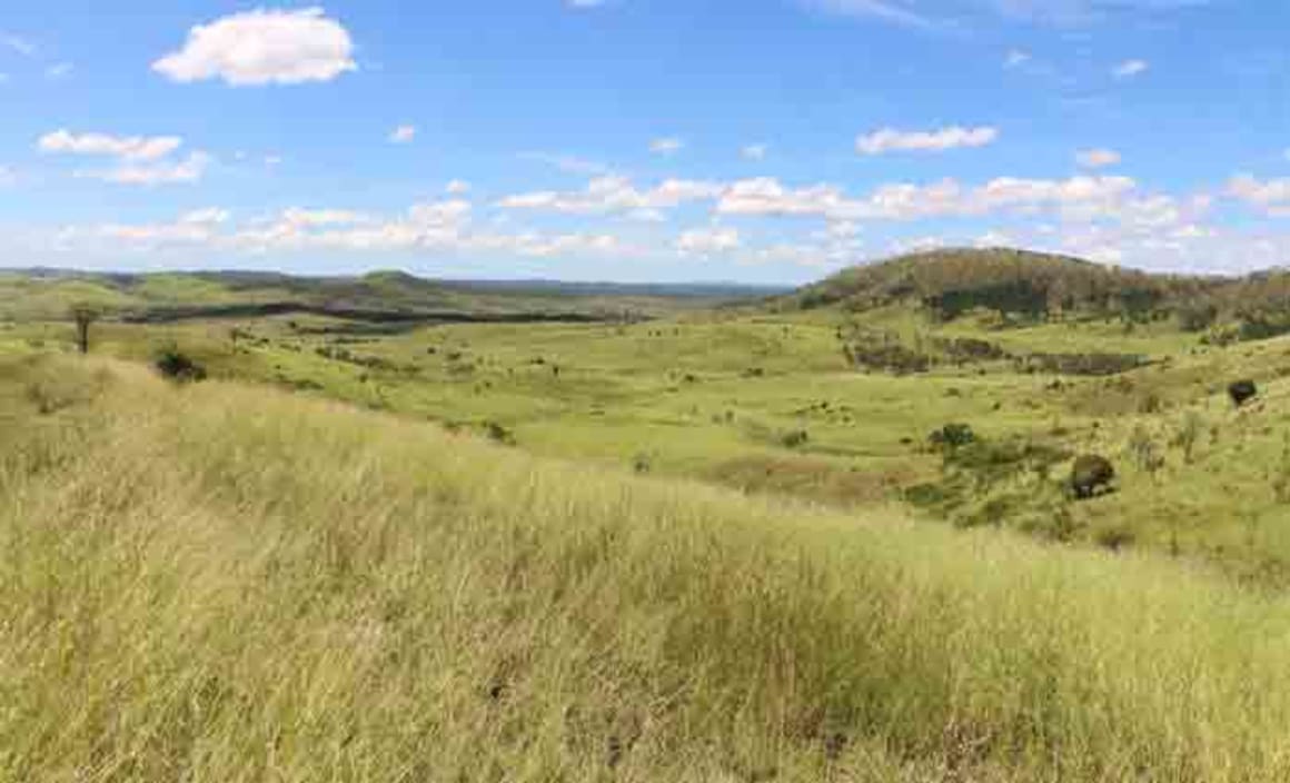 Land parcel close to beef capital Rockhampton under the hammer