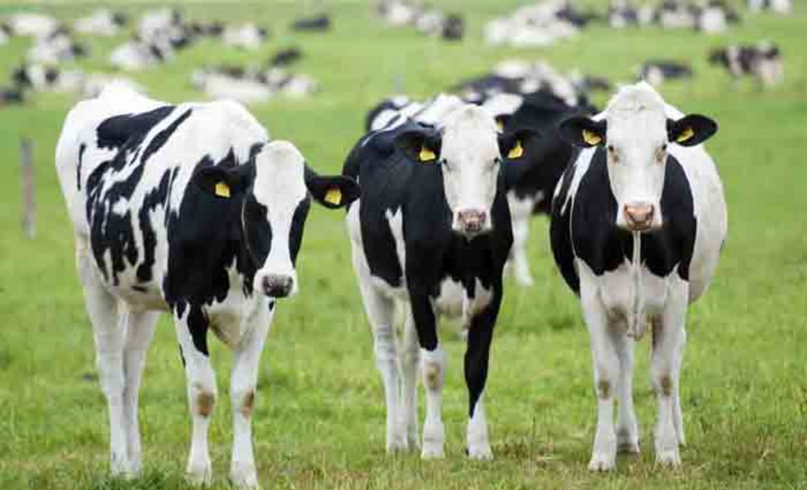 Time to get regulation back into Australian dairy?