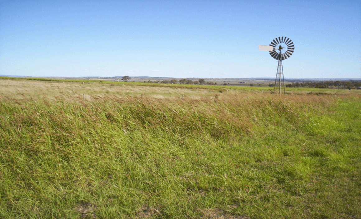 Darling Downs rural activity picks up: HTW