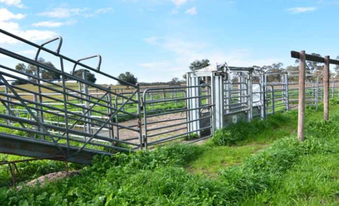 Land value increases in South Australia's rural pockets HTW