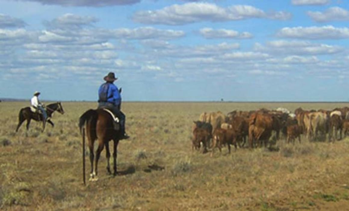 Queensland cattle farm sold by English investors to Chinese