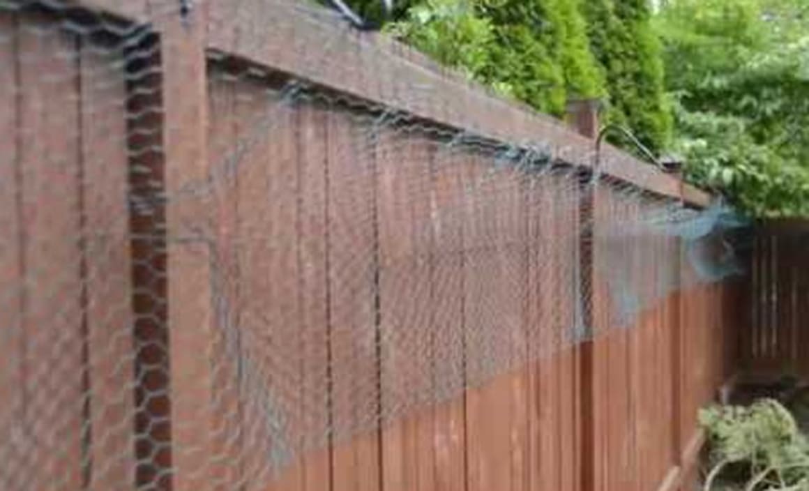 Property 101: Dividing fence disputes in QLD