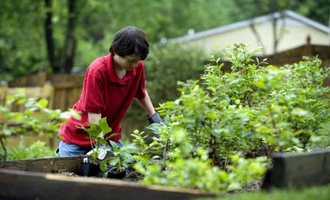 Gardening is good for you; the science is in