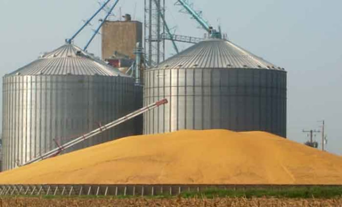 Grain storage facility in Victoria’s West Wimmera ripe for purchase