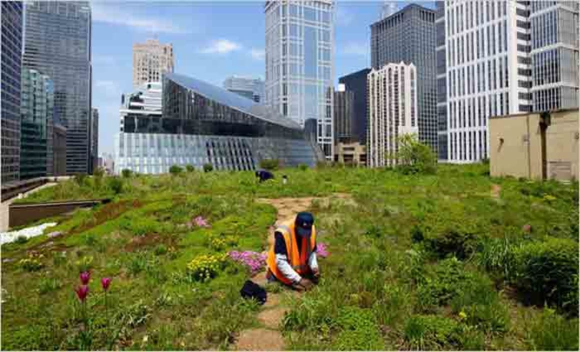 Green infrastructure the hot topic amongst city planners