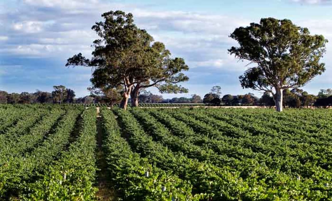 South Australia’s Gum Park Vineyard listed