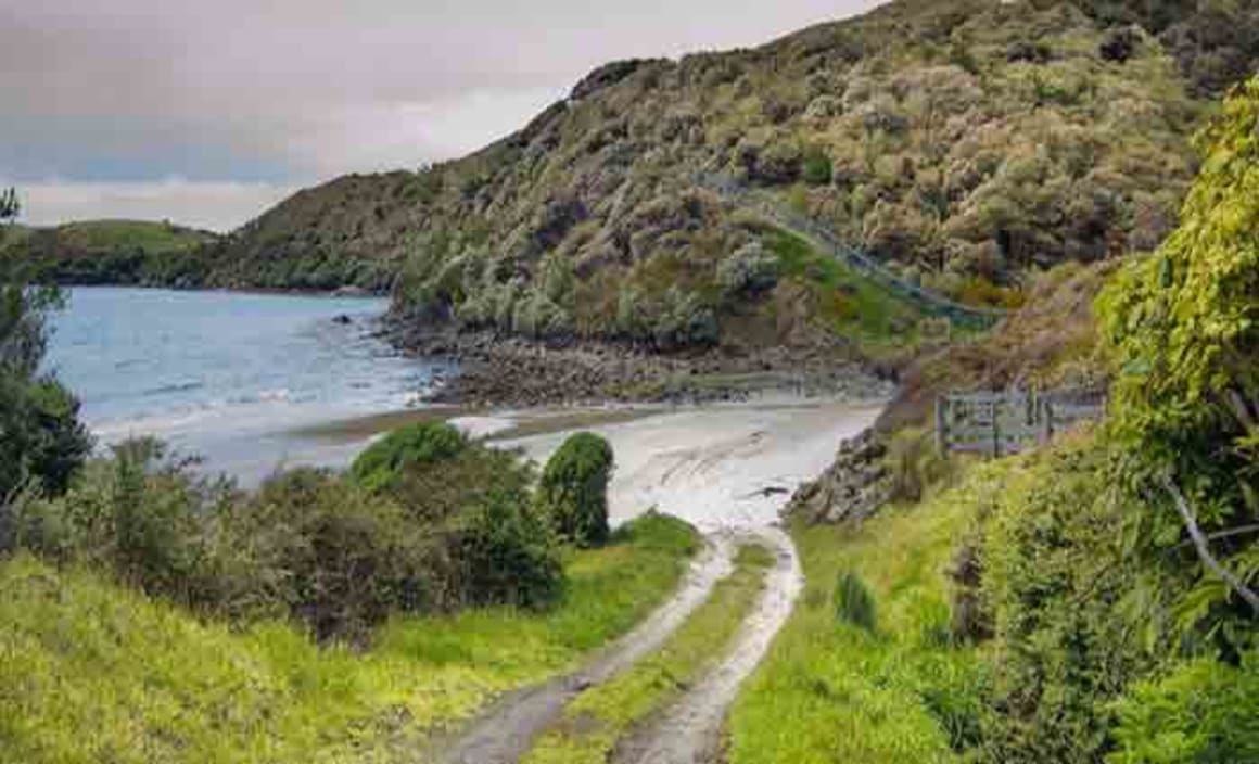 Stewart Island eco-sanctuary up for sale