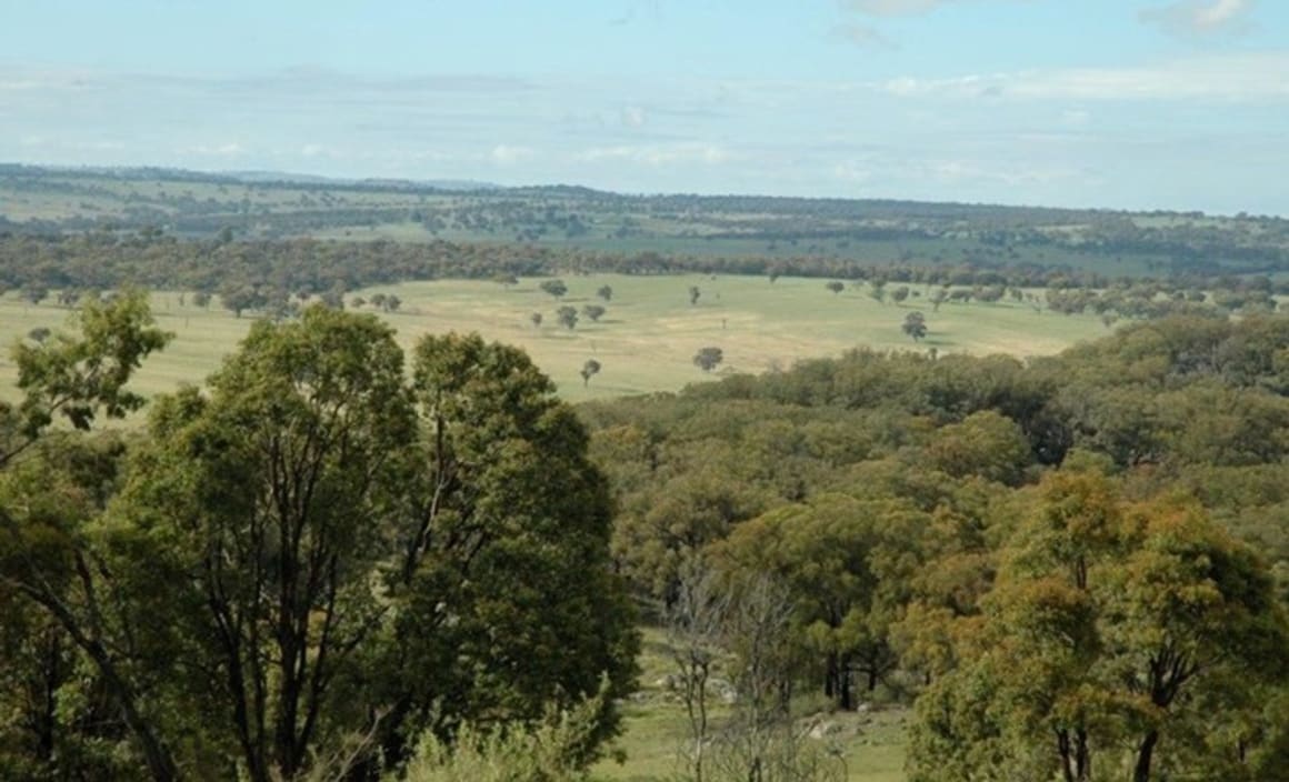 Chinese buy New England farm, Kyabra Station