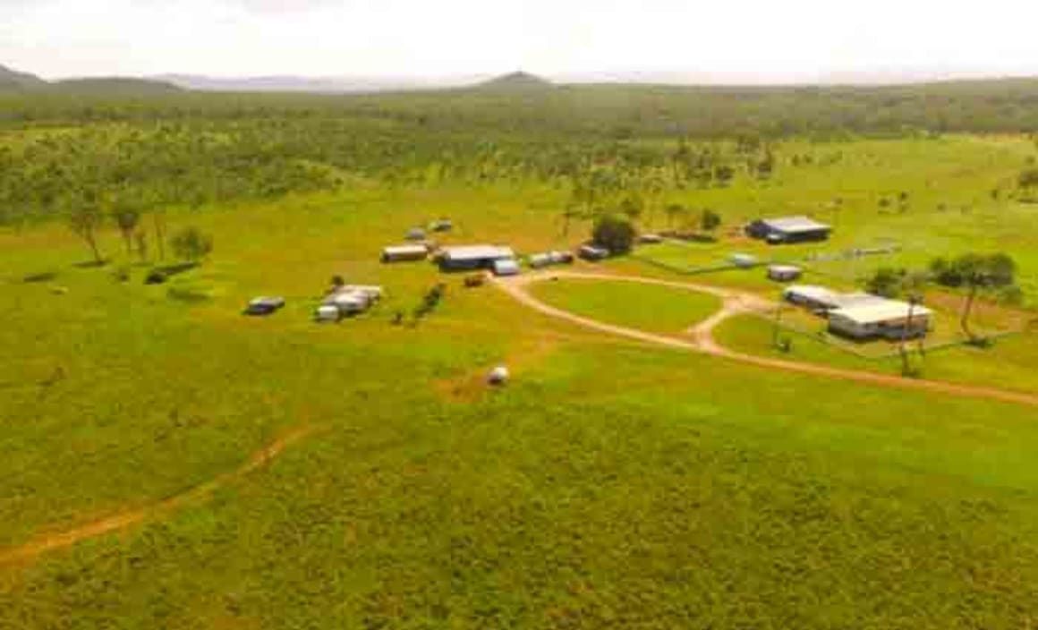 Clive Palmer's Rockhampton farm still for sale after postponed auction