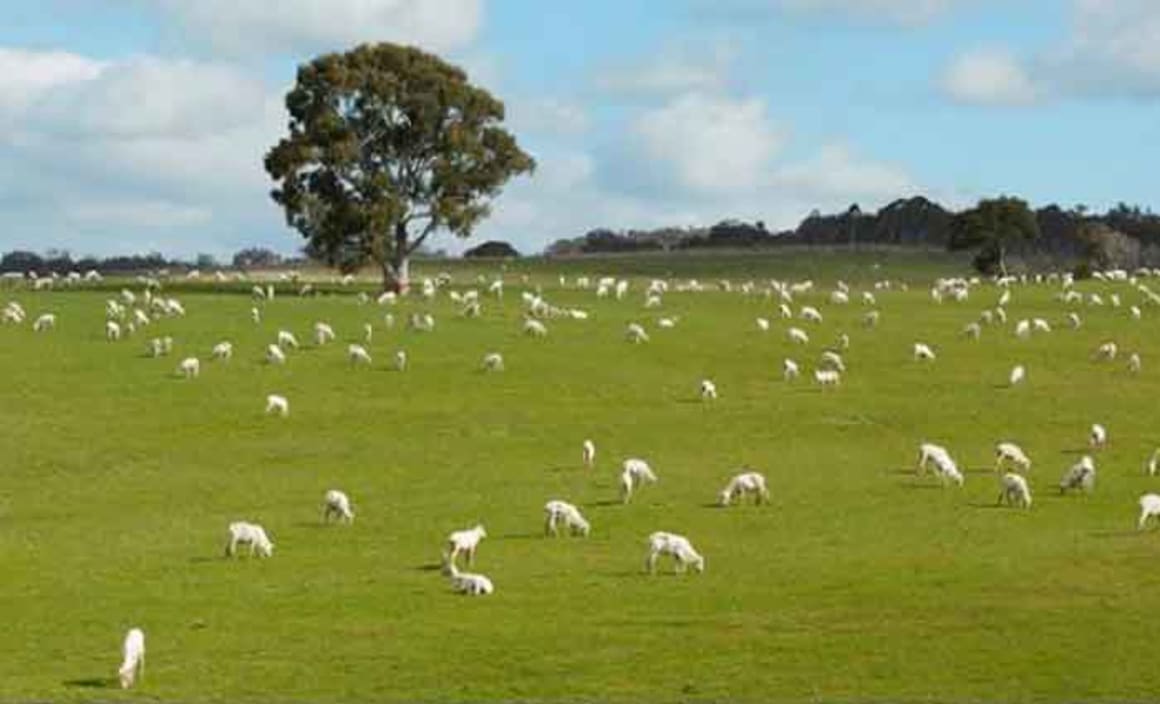 Woodlands at Bungendore near Canberra sold