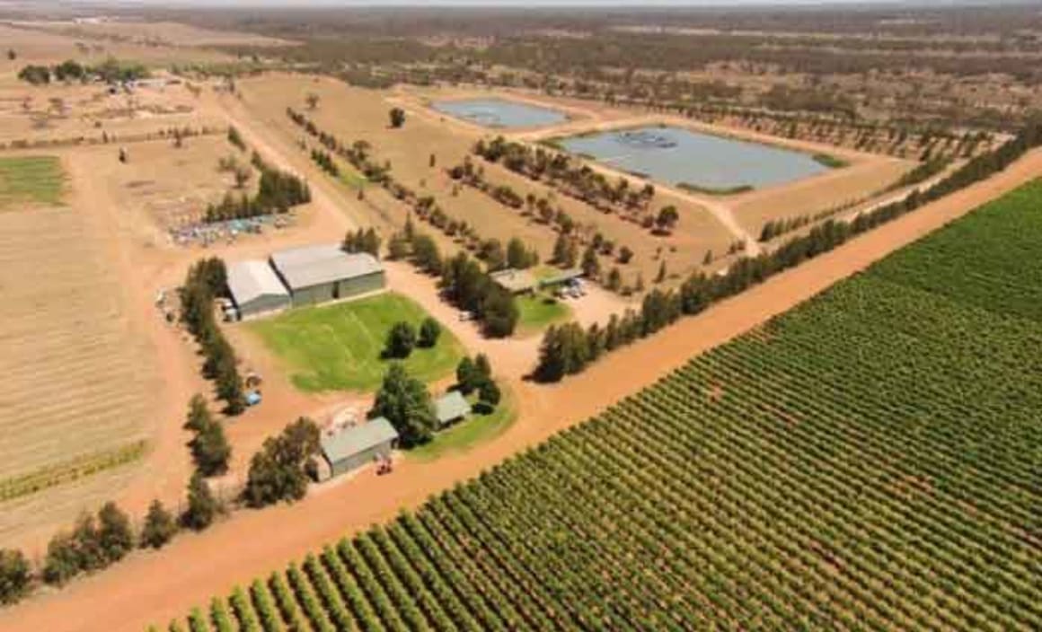 Agricultural diversity driving Mildura land market HTW