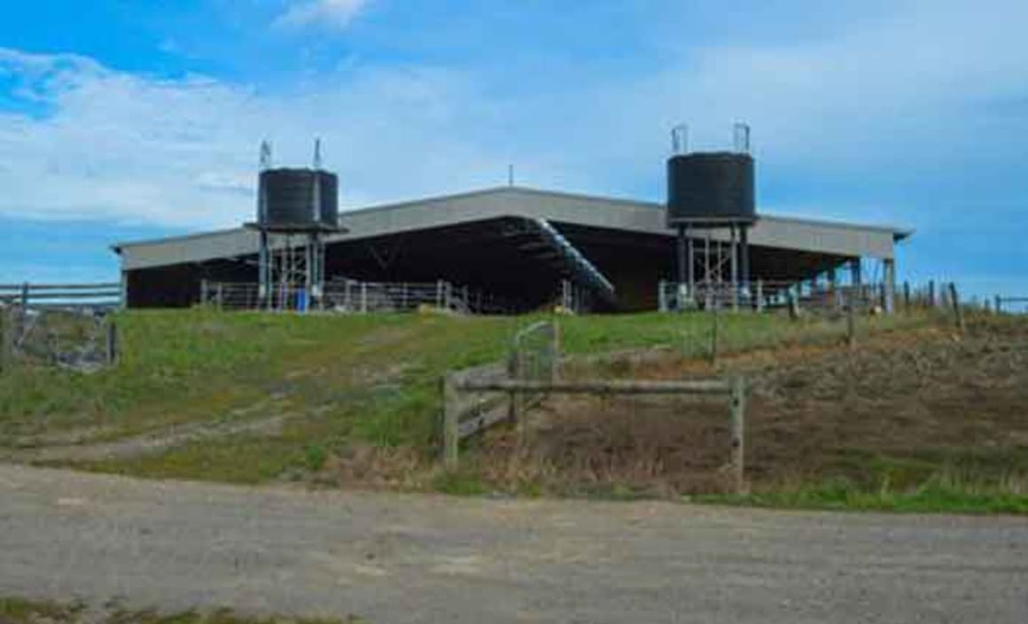 Victorian dairy farmers weathering rural market