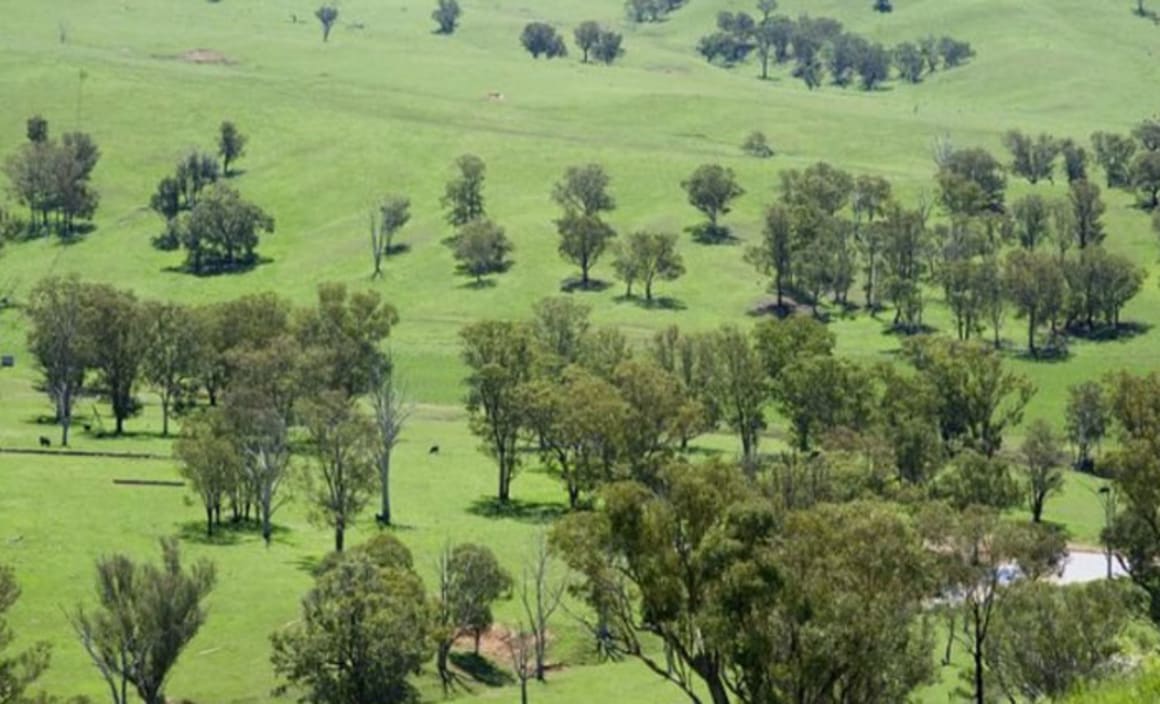 NSW Central Tablelands rural buyers seeking proximity to regional centres: HTW