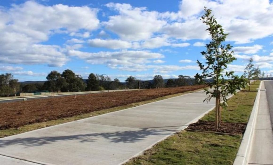 Renovation and capital growth Jane SlackSmith