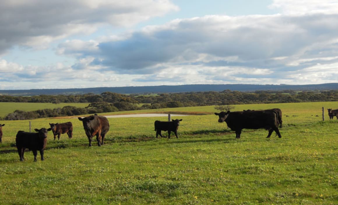 Media mogul Kerry Stokes lists Kangaroo Island farm portfolio