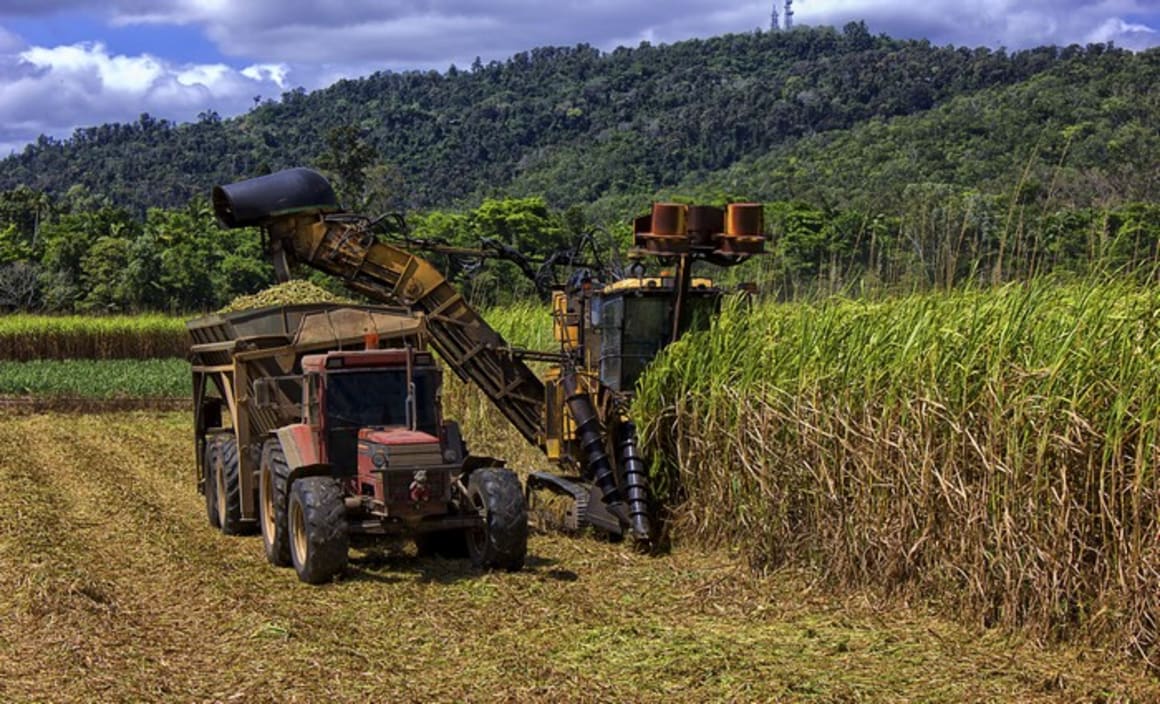 Positive news for farmers on the NSW North Coast: HTW