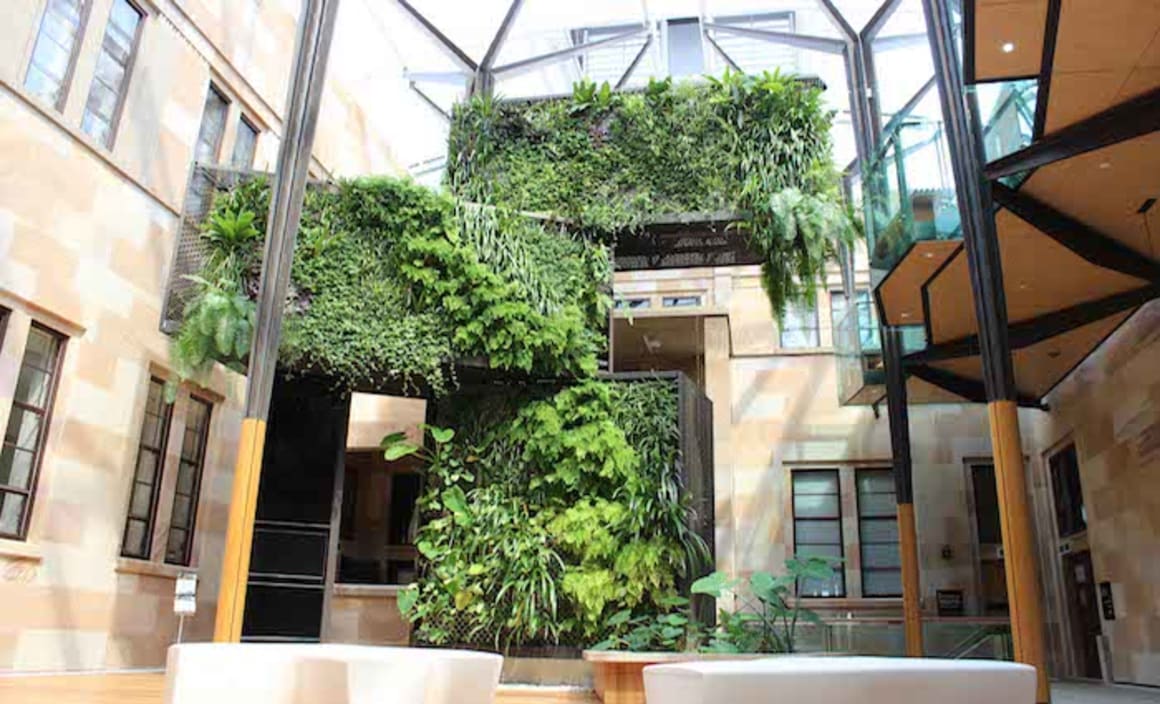 Greenwalls to improve the concentration and wellbeing of university students 