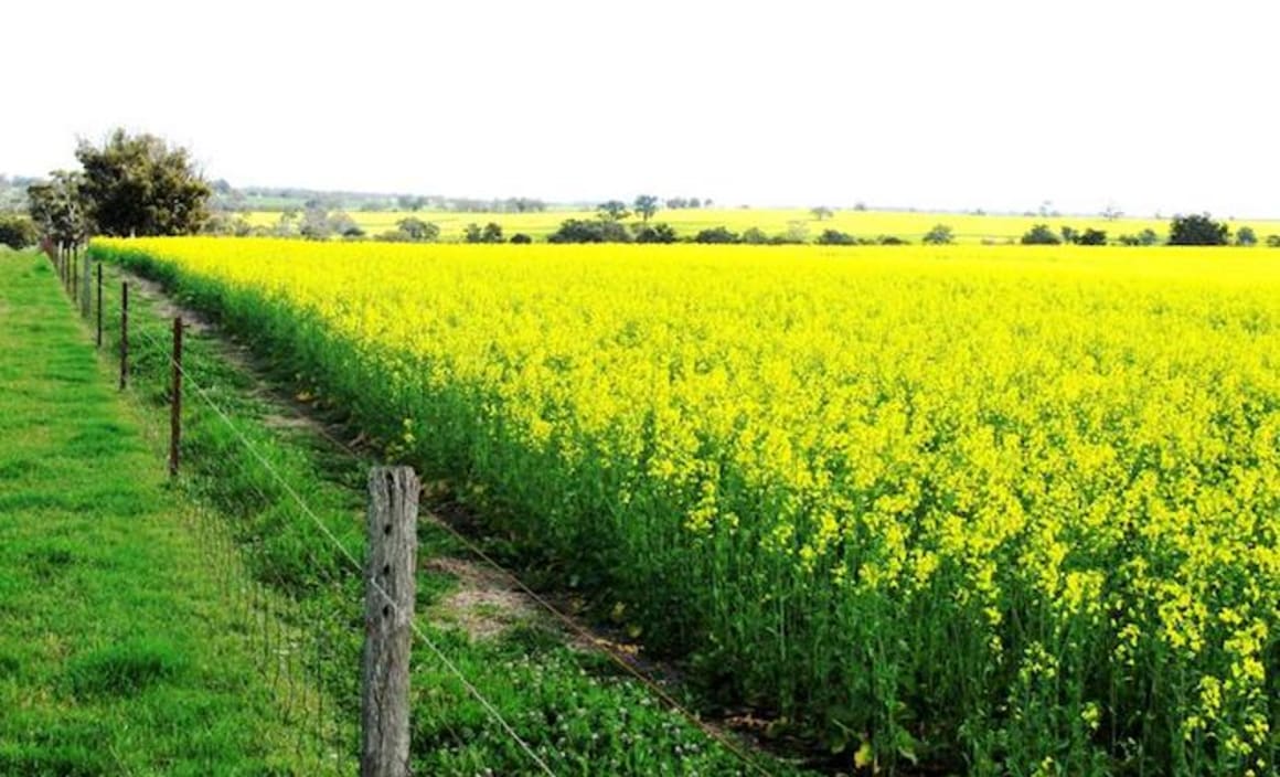 Hyfield cropping property Kojonup sells for $25 million plus