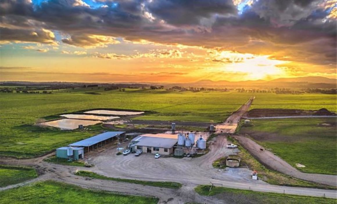 Labertouche dairy cow farm sale at $6,650,000