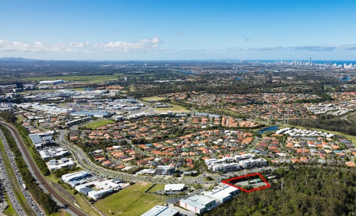 Long-time Robina tree nursery hits market to meet strong boutique commercial site demand