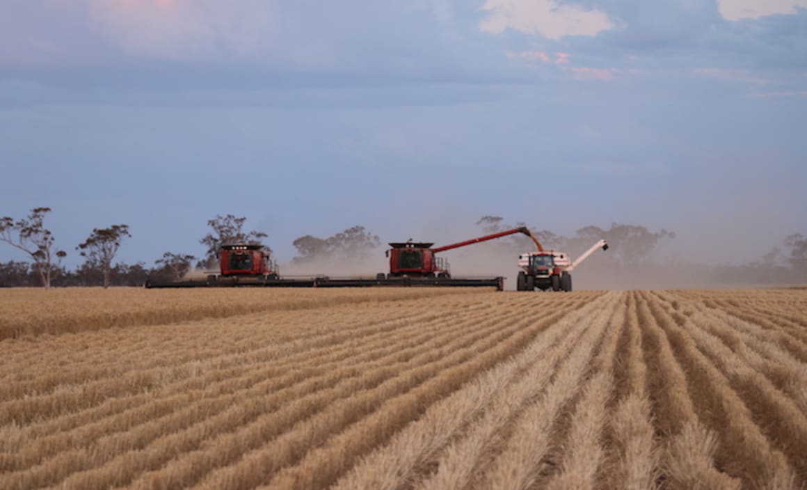 Moree cropping enterprise listed for sale